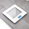 Greater Goods Body Fat Scale, Accurate Digital Weight and Health Metrics, Body Composition, and Weight Measurements, Glass Top, with Large Backlit Display (Silver)(Basic  White/Clear)