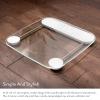 Greater Goods Body Fat Scale, Accurate Digital Weight and Health Metrics, Body Composition, and Weight Measurements, Glass Top, with Large Backlit Display (Silver)(Basic – Clear)