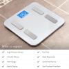 Greater Goods Body Fat Scale, Accurate Digital Weight and Health Metrics, Body Composition, and Weight Measurements, Glass Top, with Large Backlit Display (Silver)(BMI  Silver)